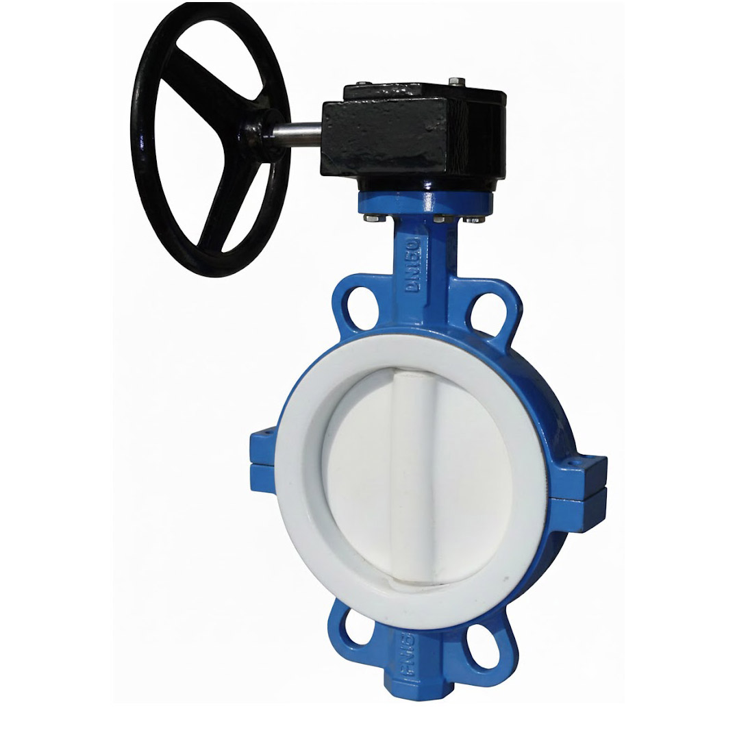 Van bướm Lug l&oacute;t đầy đủ